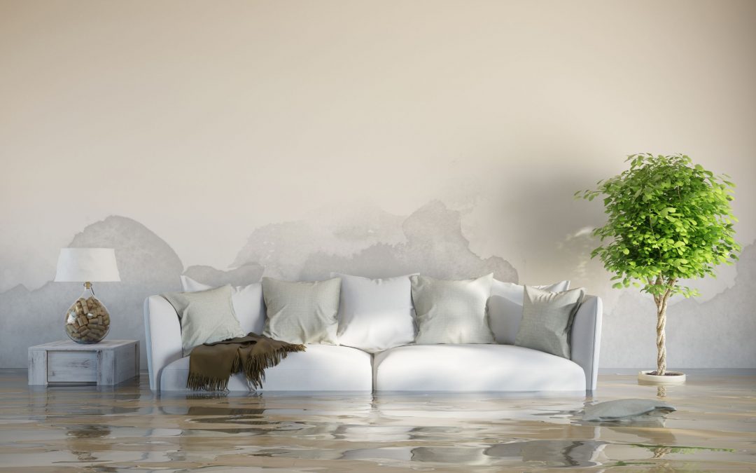 Wasserschaden im Estrich. Was Haus- und Wohnungsbesitzer wissen müssen